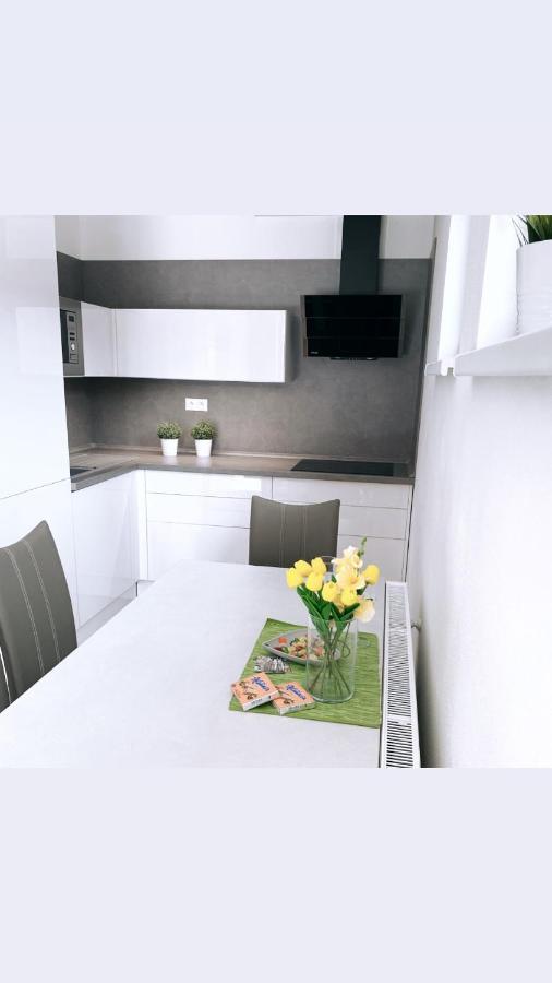 Apartman Monika Lipno nad Vltavou Εξωτερικό φωτογραφία
